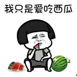 娱乐圈吃瓜动画片有哪些,揭秘那些令人捧腹的吃瓜动画片