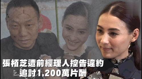 吃瓜娱乐一线,揭秘娱乐圈幕后故事